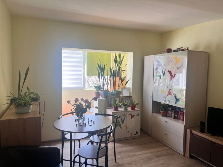 Apartament cu o camera, direct de la proprietar, Zona Freidorf - 4