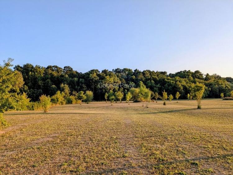 De vânzare: Teren 12.600 mp - Ghiroda - Comision 0%