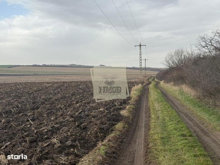 Teren extravilan in EXCLUSIVITATE 20300 mp in Sura Mica - 4