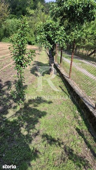 Casa cu 6 camere | Sitani | Bihor - 12