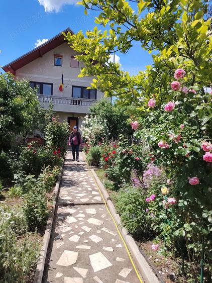 Vand vila Giurgiu - 1