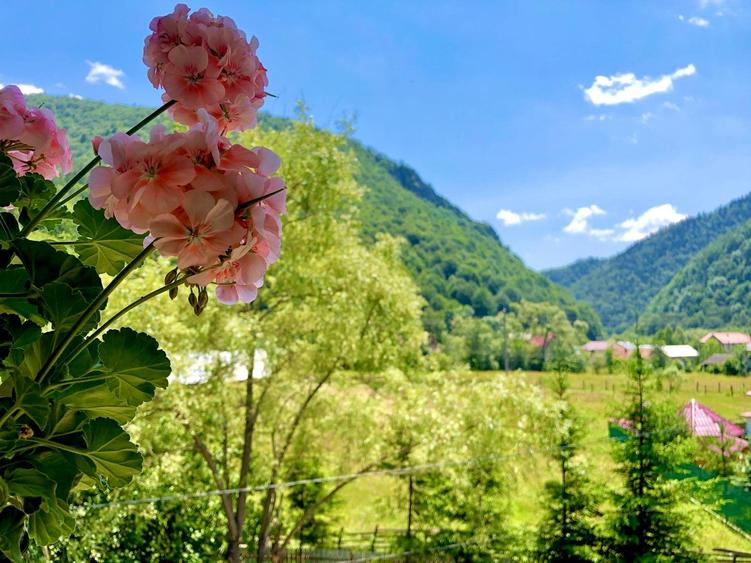 Pensiune 7 camere, Lepsa - 29