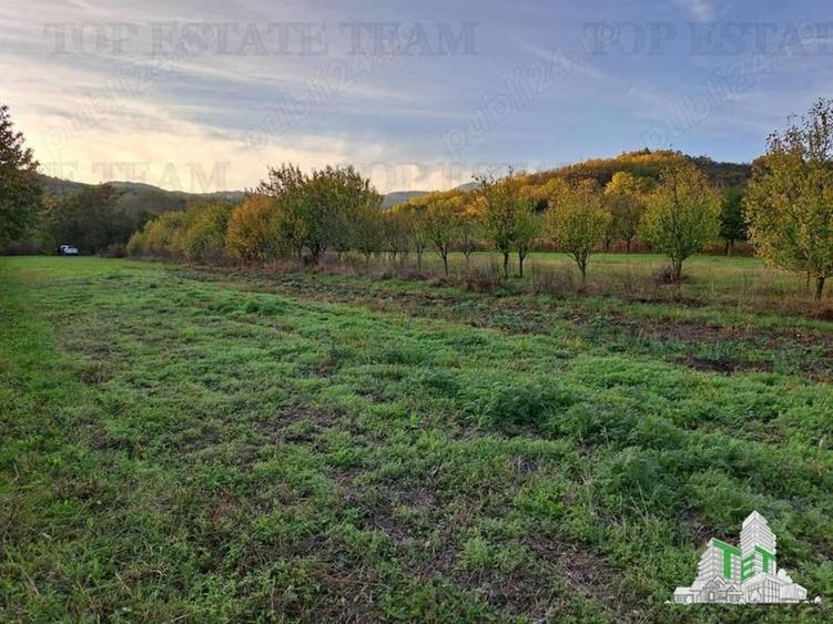 Teren de vanzare / Maneciu Pamanteni - 6