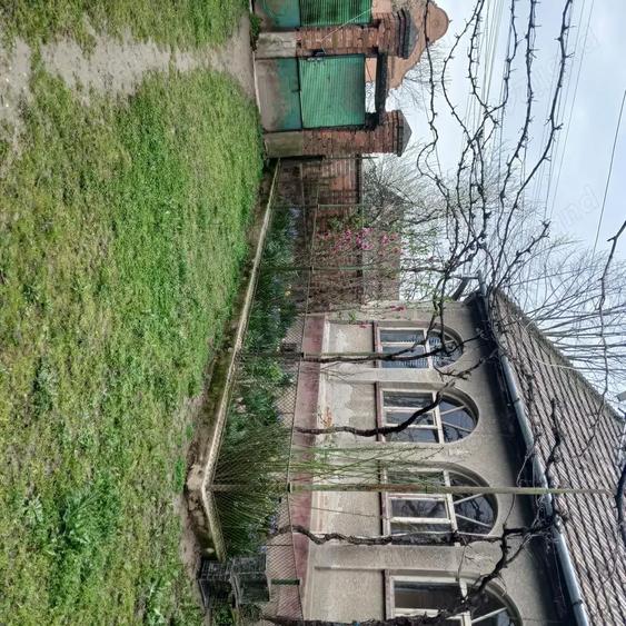 Casa si gradina de vanzare in Hitias la strada principala - 5