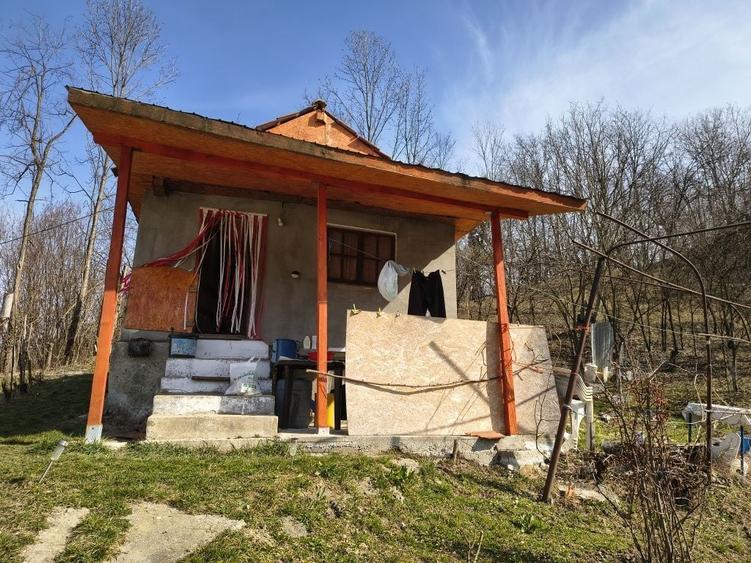 Vanzare casa la tara - 1