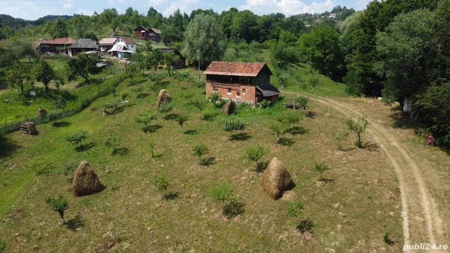 Teren de vanzare in comuna Cicane?ti, sat Bara?ti, Judet Arges. - 3