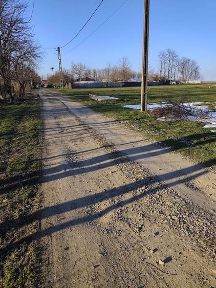 Teren Intravilan Bitina-Ungureni - 5