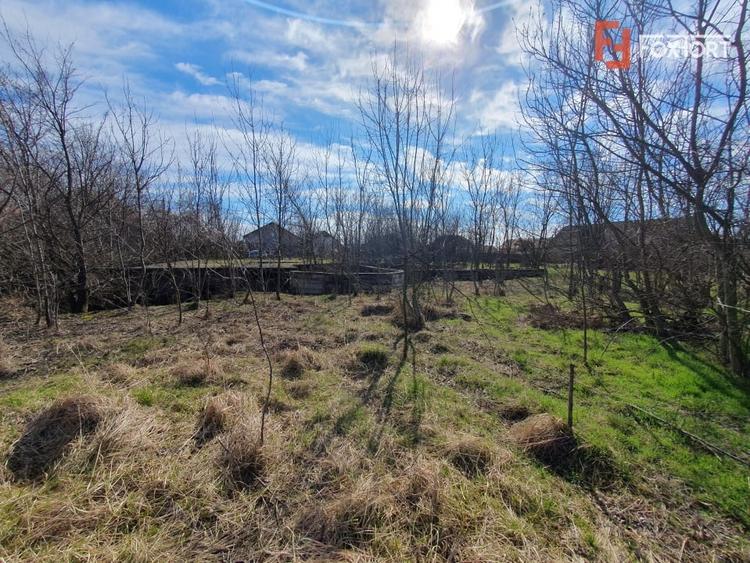 Teren intravilan 2840 mp cu fundatie - Jebel - 5