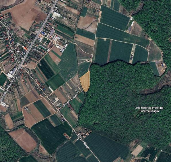 LOT DE VANZARE cu deschidere la padurea Snagov - 2