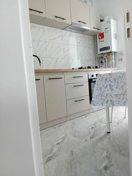 Garsoniera de inchiriat Weiner Palada 16 - 3