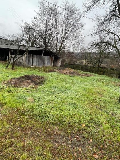 Casa batraneasca de vanzare - 7