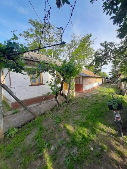 Casa batraneasca de vanzare - 6