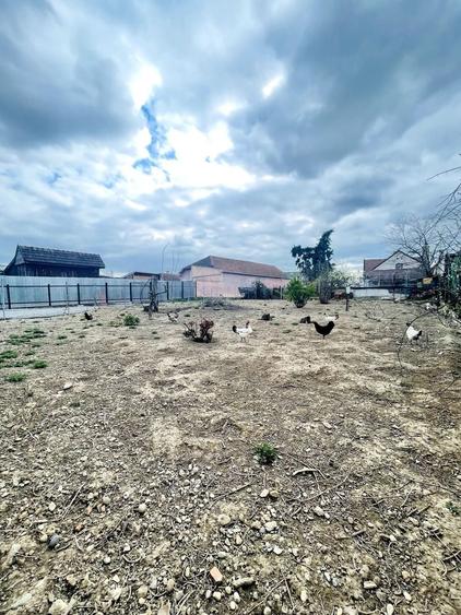 Teren cu Utilități pe Parcelă – Episcopia, 550 mp - 5