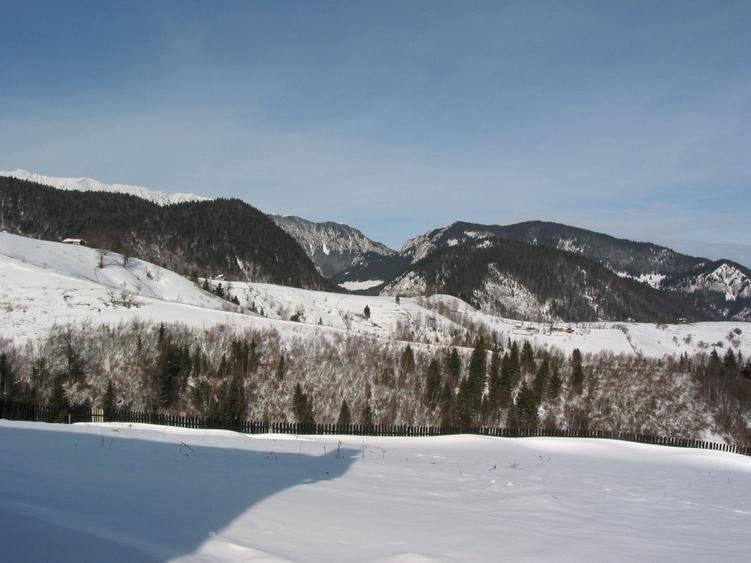 Sat Pestera,  Rezervatia Piatra Craiului, Brasov, Casa  plus teren 10 621 m - 1