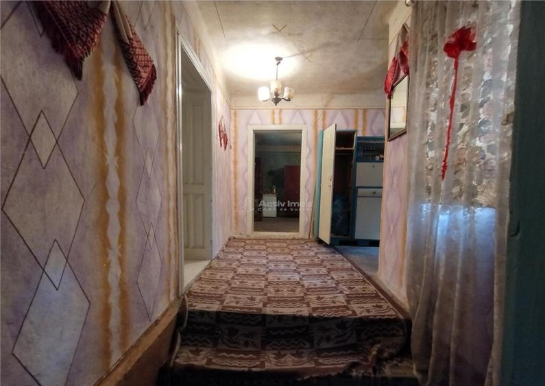 Bogodint, Casa 440mp cu 4 Hectare Teren, Pret Negociabil - 10