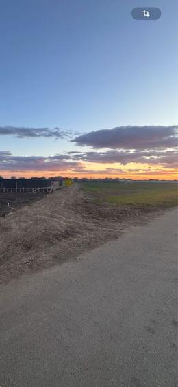 Teren de vanzare in com Dascalu - 2