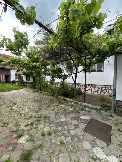 Casa individuala, 6 camere | 2109 mp teren |, localitatea Rusi, judetul Sibiu - 4