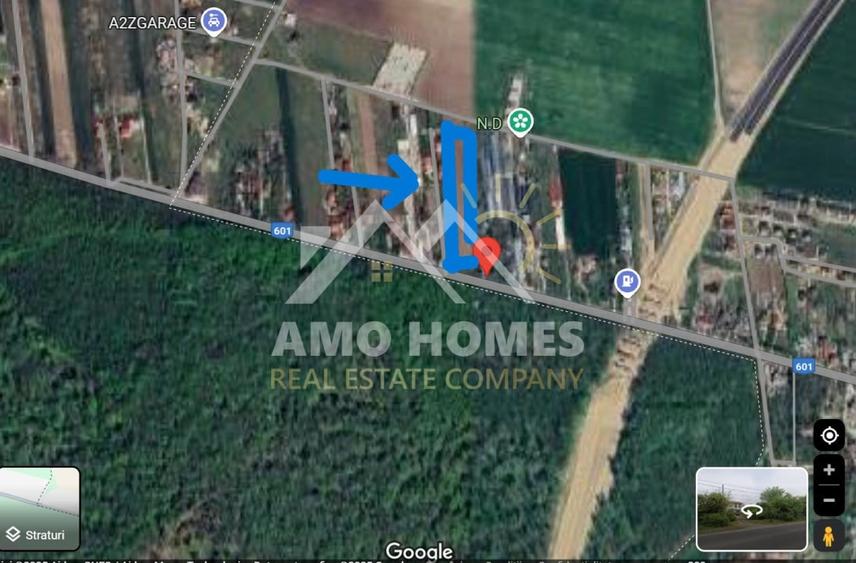 OPORTUNITATE -Teren de Vis la Marginea Pădurii – 5000 mp în Ciorogârla - 1