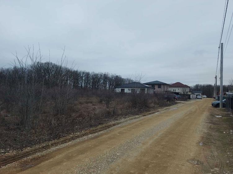 Teren intravilan - Colina Verde, Mosoaia, Sat Smeura, jud. Arges - 7