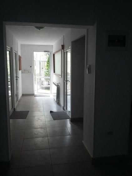 Theodor Pallady  300 mp - 1