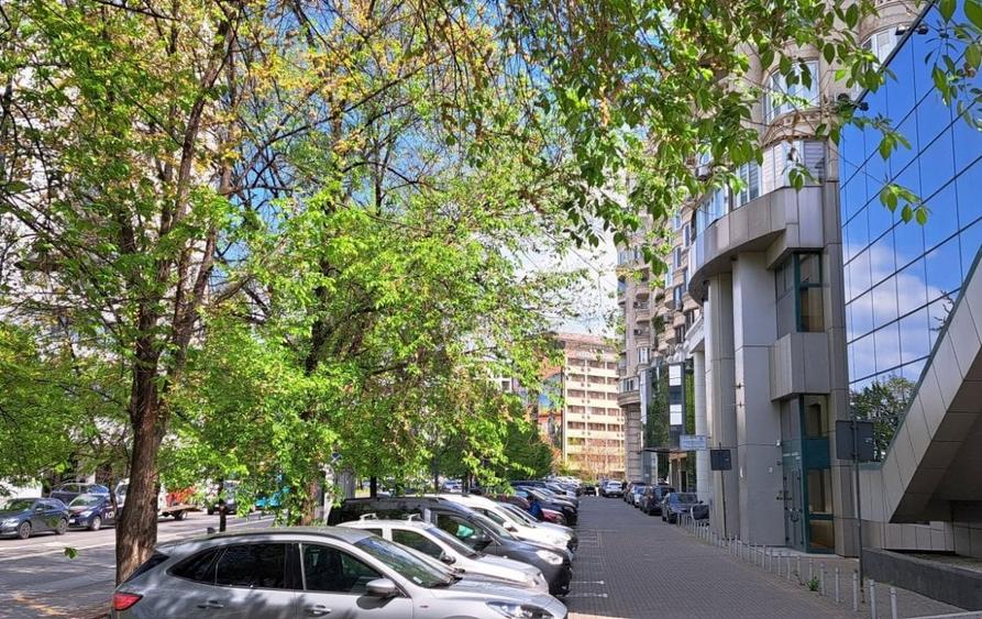 Spatiu comercial de inchiriat Strada Vintila Voda 2 - 2