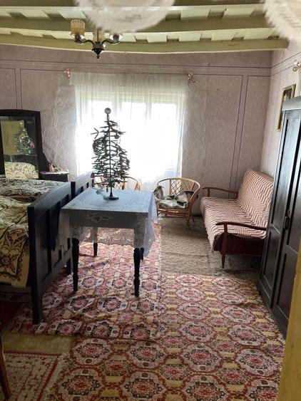 Casa traditionala de vanzare- Sauca, judetul Satu Mare - 7