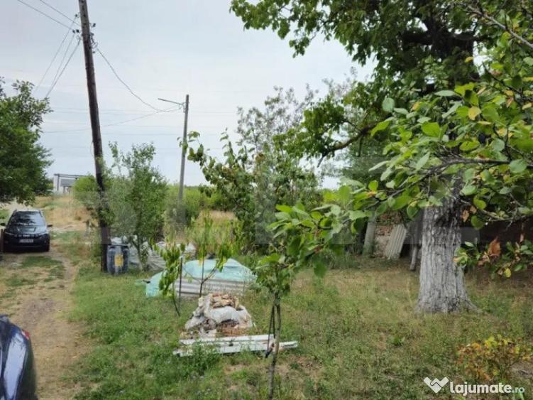 Teren extravilan 17524 mp, expunere sudica, Viforata - 8