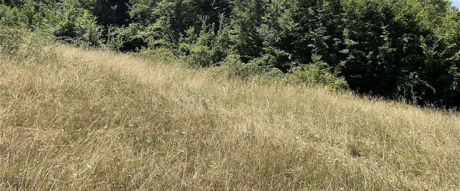 Teren Extravilan &icirc;n mijlocul naturii. - 4