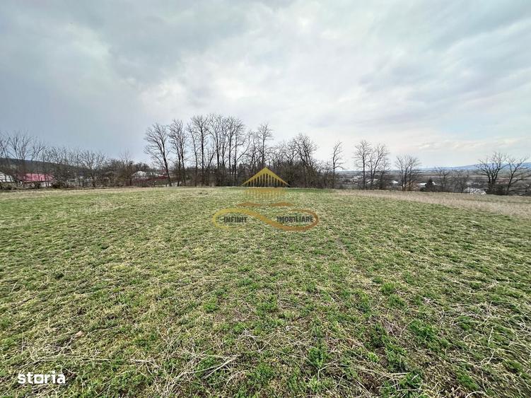 Teren de vanzare Blagesti Bacau - 10