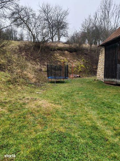 De vanzare teren intravilan in Mera - 6