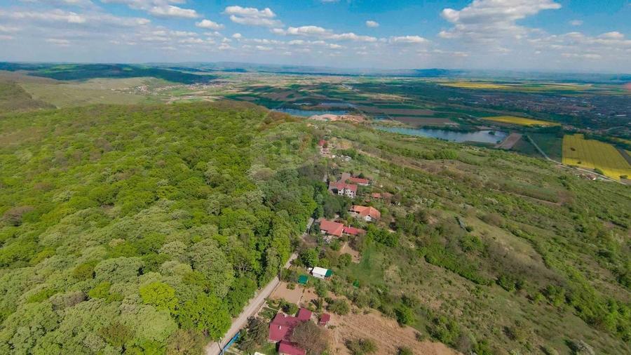 De vânzare casă și teren 1.425 mp - Podgoria - 11