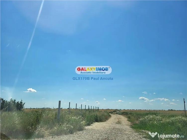 Teren Balotesti str Fantanii cu str Bisericii 1 Ha cu acces - 3