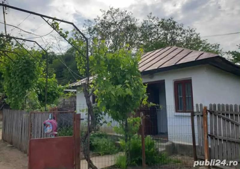 Casă cu 3 camere cu Teren 5000 Mp în Mozăceni