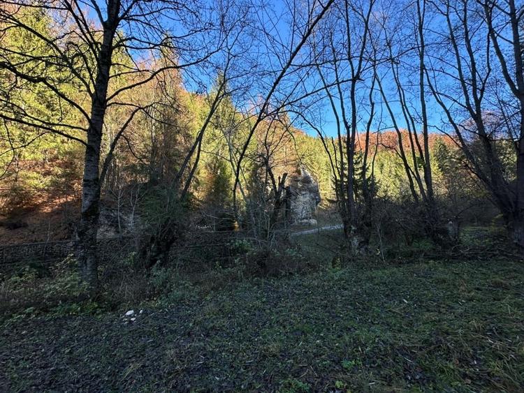 Teren 2.882 mp – oportunitate investitie - Cheile Dambovicioarei - 13