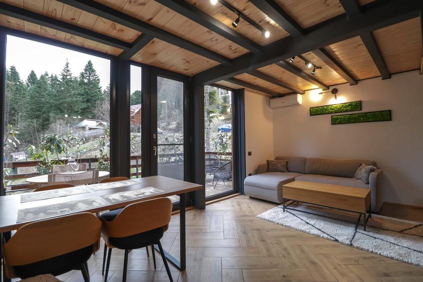 Vilă complet mobilată în Sinaia – grădină, loc de parcare și TVA incluse! - 1