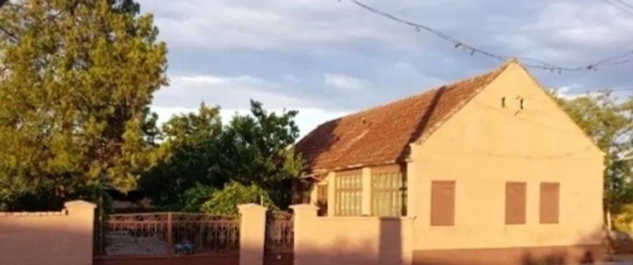 Felnac, vanduta casa+ teren 1.500mp, front pe 2 strazi - 6