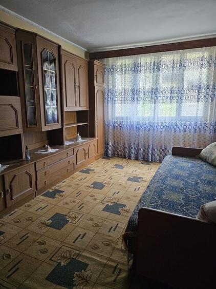Apartament cu 2 camere decomandat în Arsura