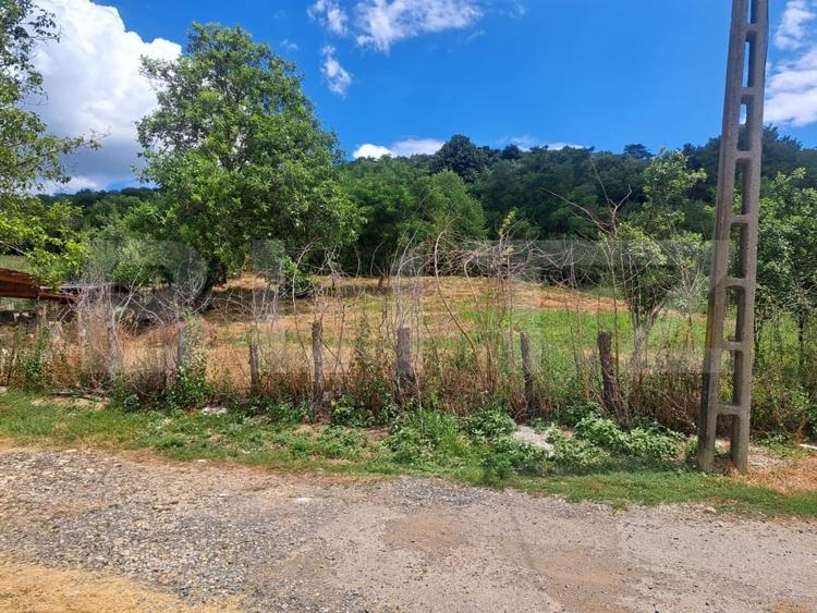 Teren Construcții intravilan de 3484 mp, în Viforâta