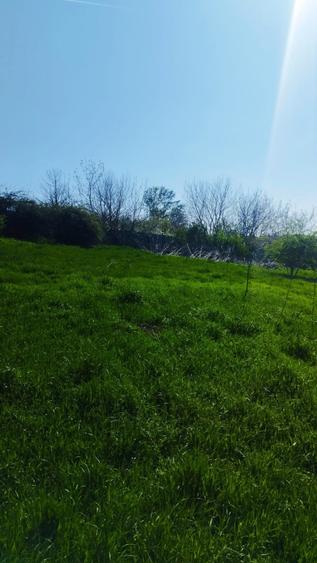 Teren Construcții intravilan de 10000 mp, în Grădiștea
