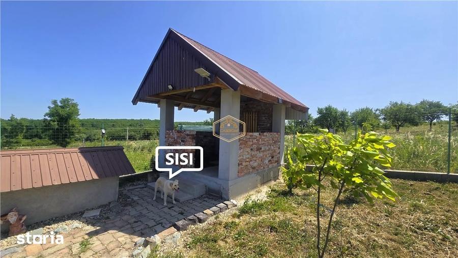 VIDEO | Loc de casa, cabana sau turism - Ardud | Vedere spre Satu Mare - 8