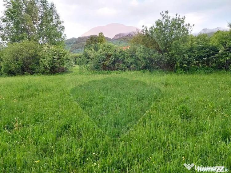 Teren în Tohănița