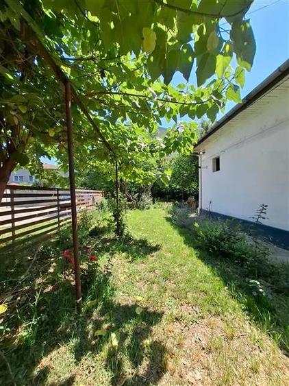 Inchiriez casa 3 camere zona Elisabetin, pet frendly! - 25