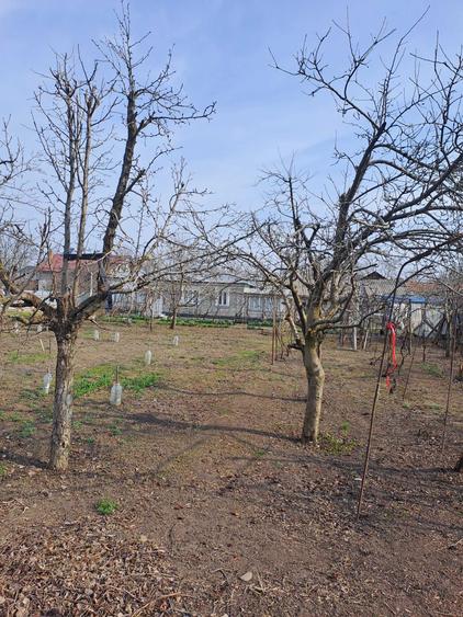 Casa Bordesca Noua - 3