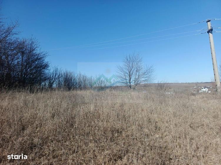 Teren de vanzare Mihae?ti . - 7