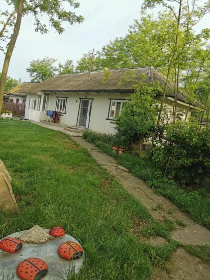 Casa cu 3076m2,teren intravilan -Seliste-Boto?ani, com. MILEANCA - 6