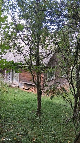 De vanzare casa cu teren Albac 5000m2 - 4