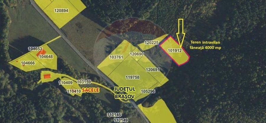 Teren intravilan, 4003 mp, Sacele - Babarunca - 10