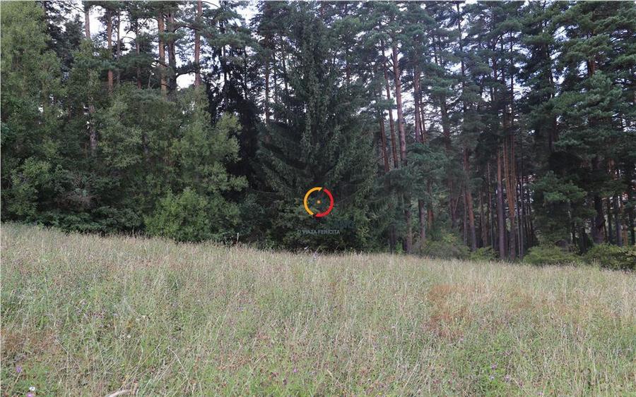 Teren intravilan cu PUZ si PUD 2 loturi - 7