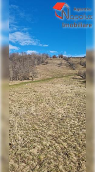 Teren de exceptie 3,1 ha intravilan | Panorama, utilitati, acces dublu | Sard - 3