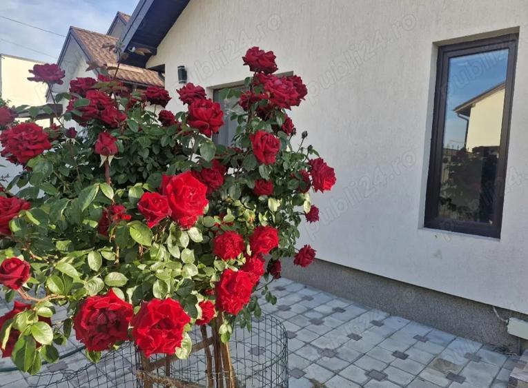 Vand casa Pantelimon Ilfov - 3